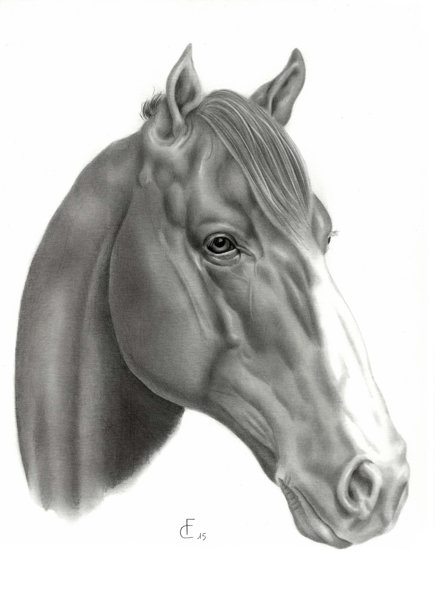 Immagini Cavallo A Dondolo Da Colorare