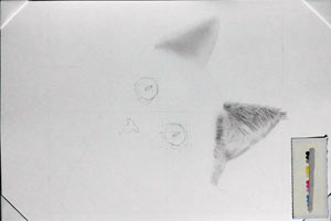 disegno gatto a matita