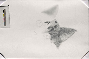 disegno a matita di gatto